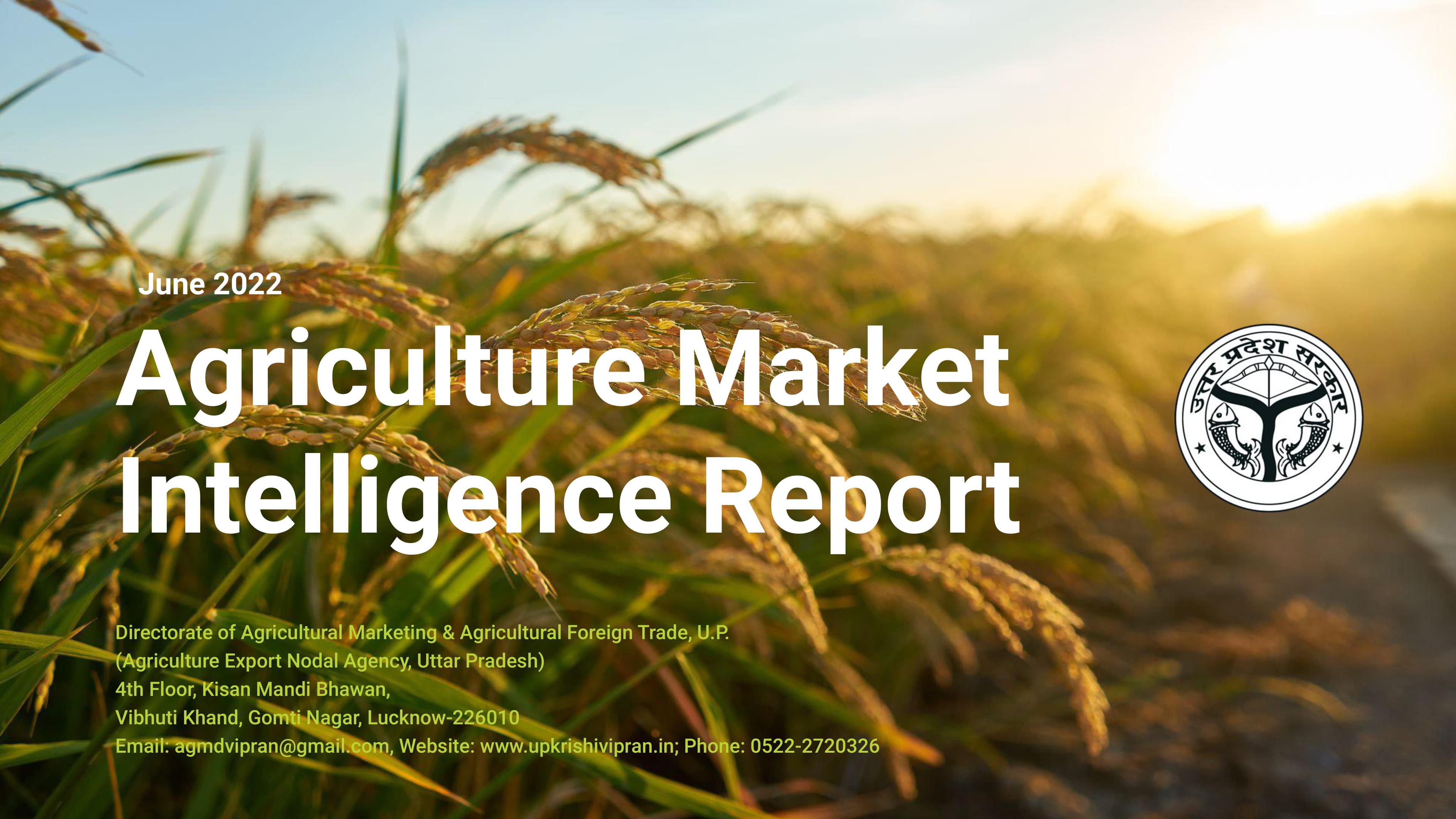 Agricultural Supply and Demand Outlook image