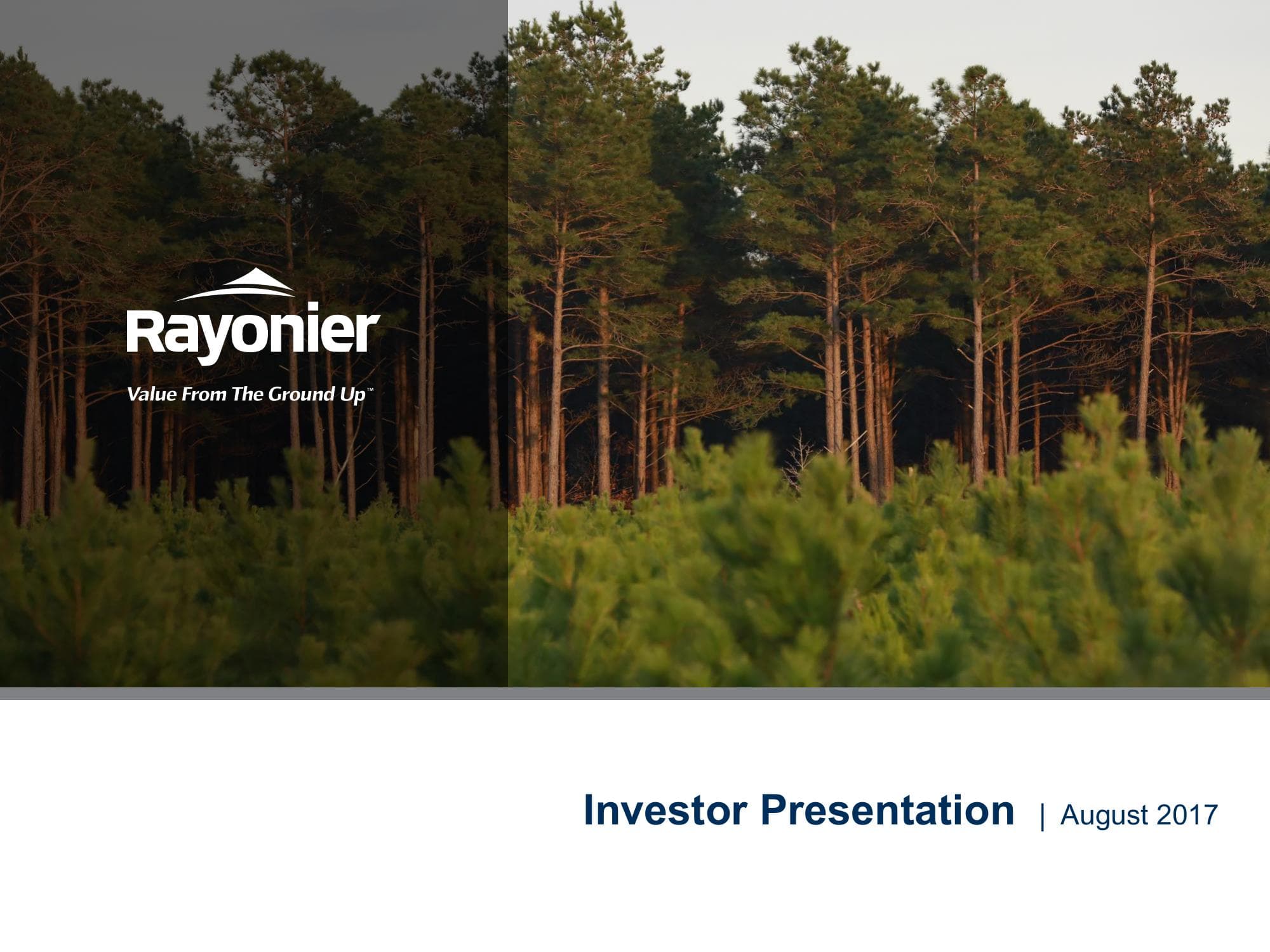 Rayonier - Best-in-Class, Pure-Play Timber REIT image