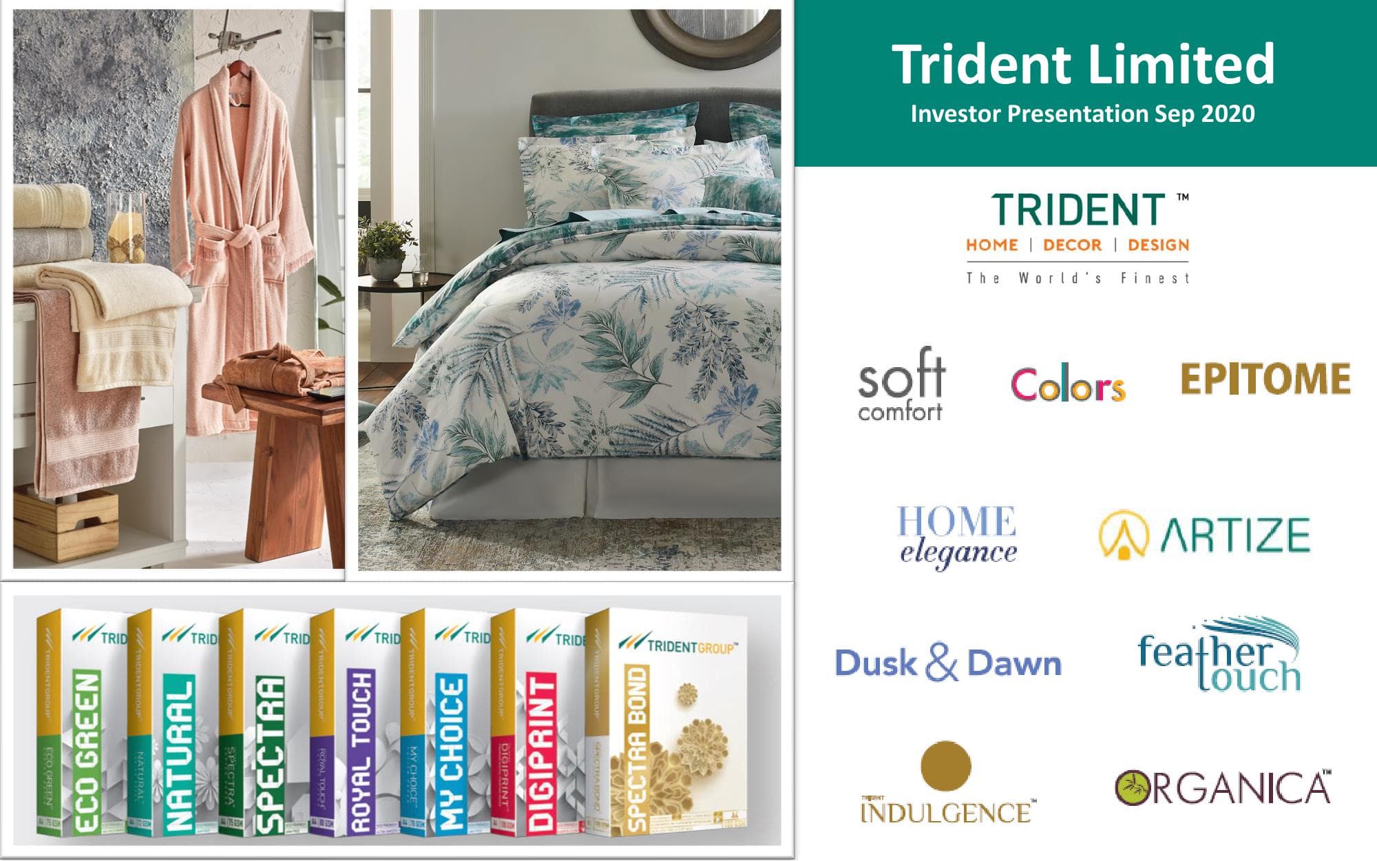 Investor Presentation - Trident Ltd image