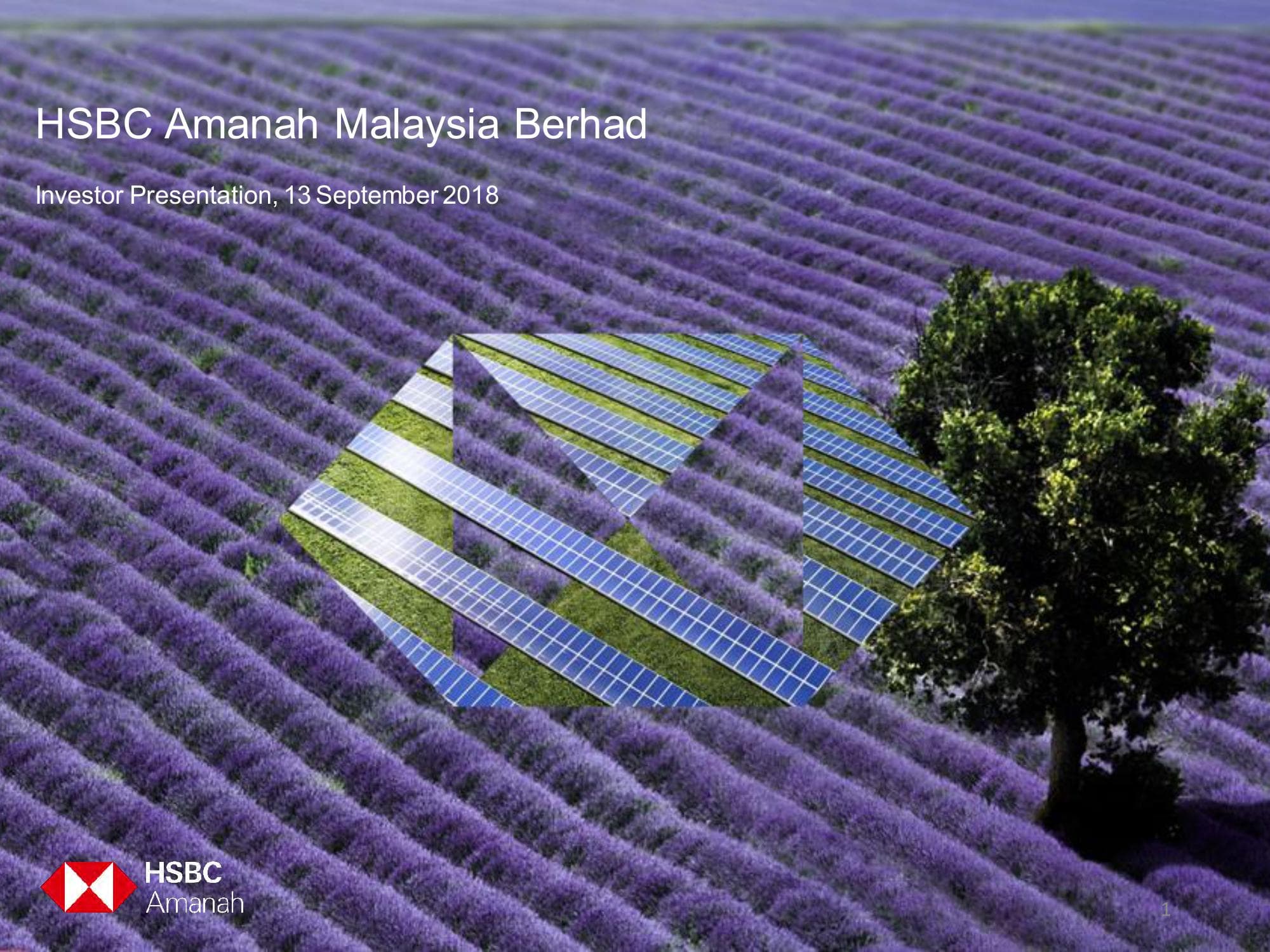 HSBC Amanah SDG Bond Framework image