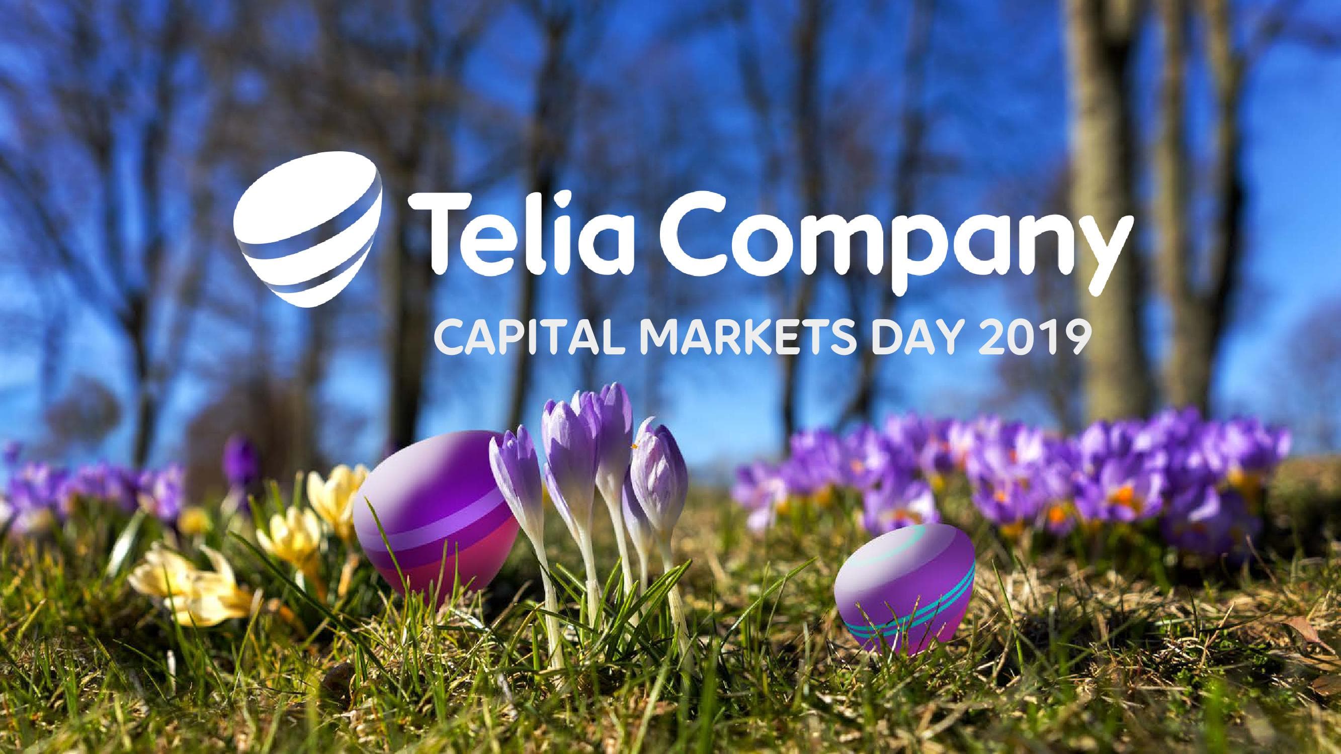 Telia Company Investor Day Presentation Deck image