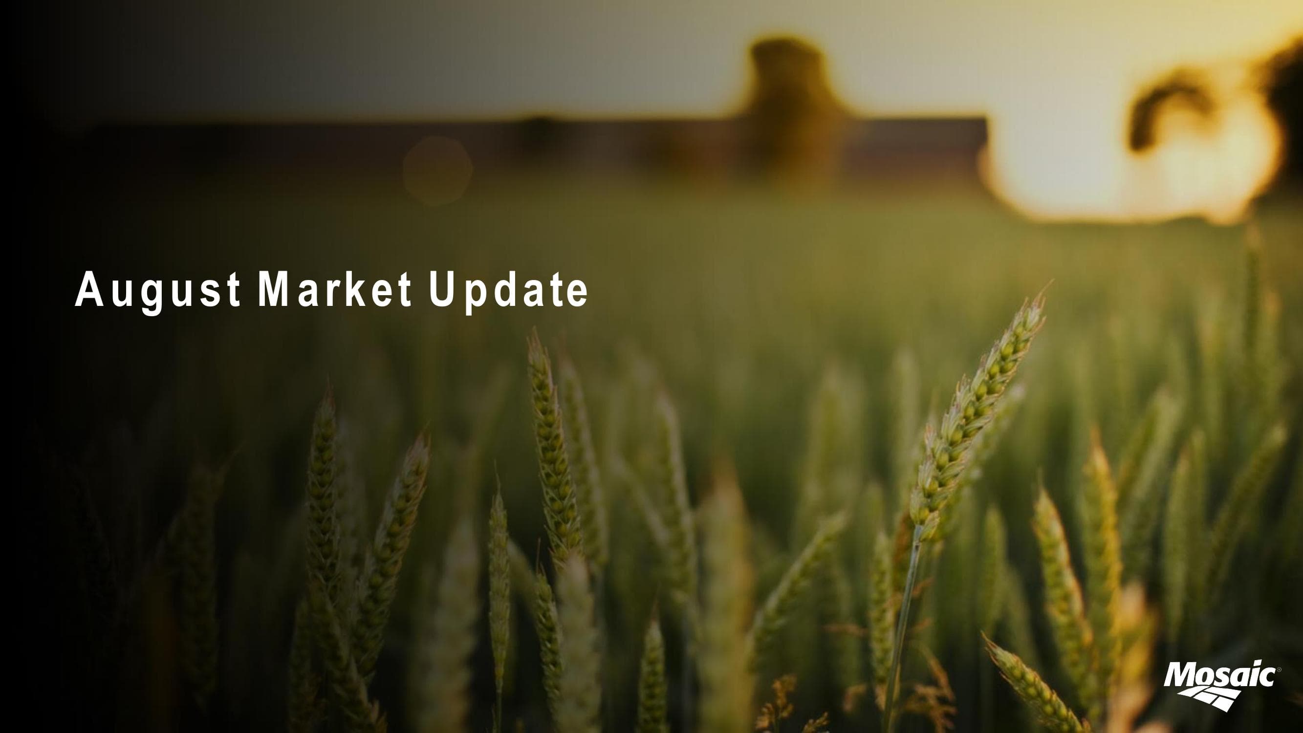 August Market Update image