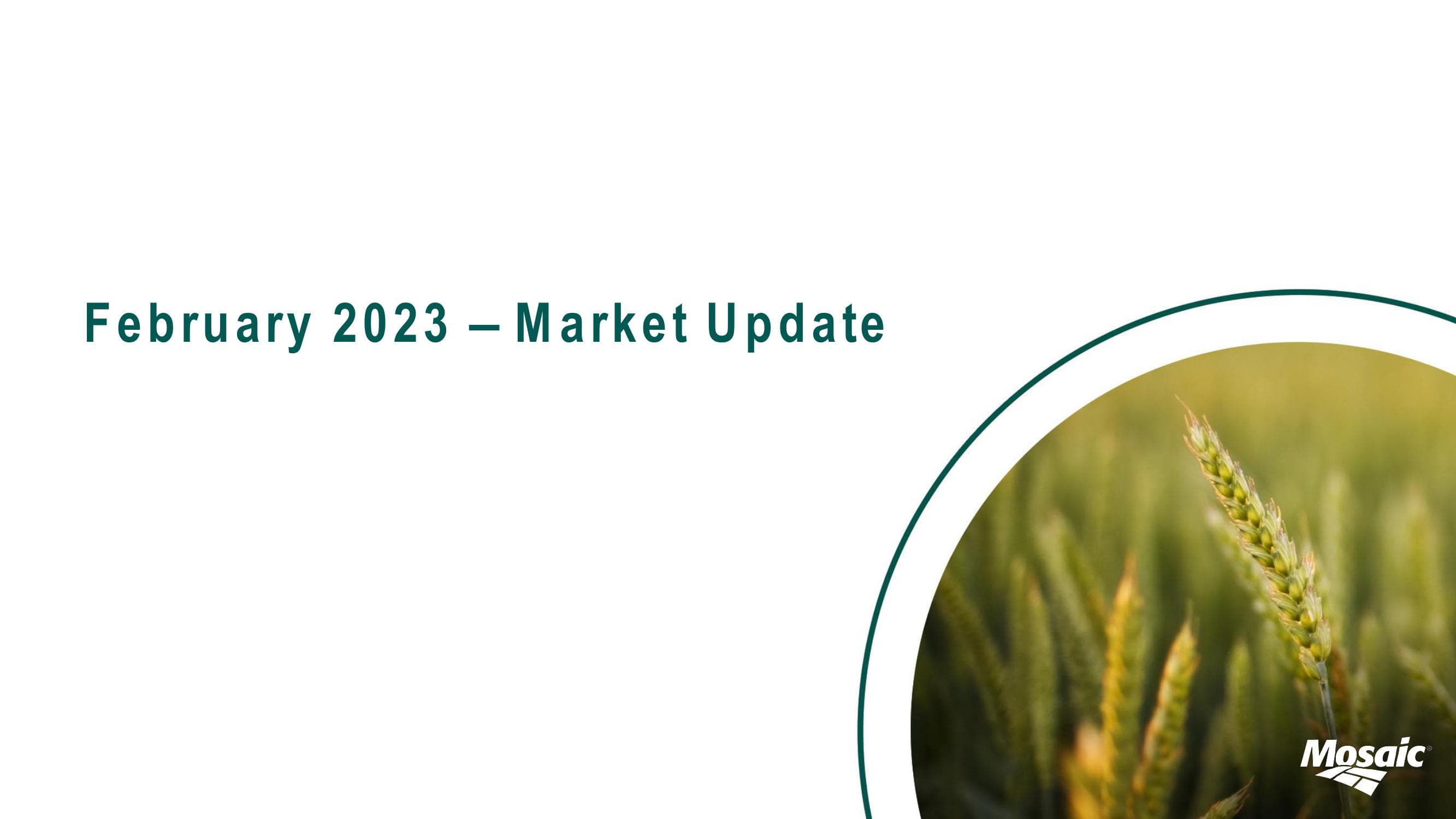 February 2023 – Market Update image