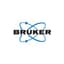 Bruker logo