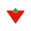 Canadian Tire logo