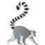 Madagascar Oil logo