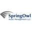 Springowl logo